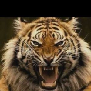 Meet your Posher, Abenezer